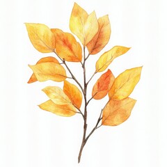 Yellow and Orange Floral Watercolor Illustration: Botanical Wedding Card Design