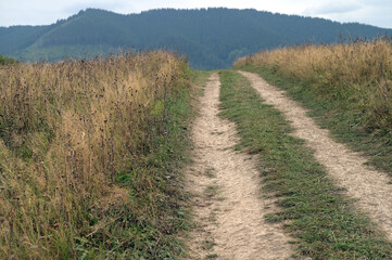 Field road in the mountains leads to the mountain peaks.