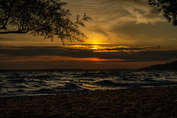 moments to Enjoy in Solitude