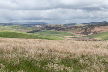 Farmland in the Cheviot Hills in the Scottish Borders.