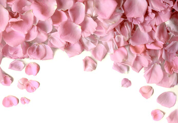 Natural background of rose petals
