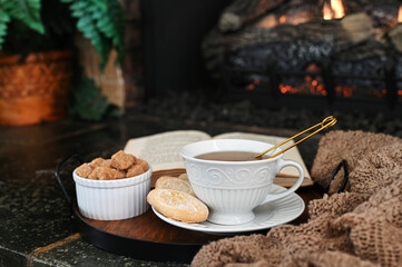 Hot tea in front of a fire with cozy blanket, cookies and book