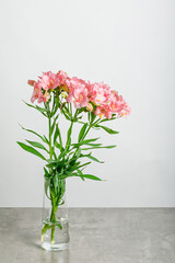 Flowers bouquet pink alstroemeria, Lily of the Incas, in vase on isolated white background
