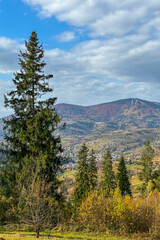 Late autumn in Carpathians mountains, Slavske, Ukraine
