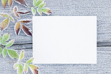 Fresh beautiful frozen colorful leaves and blank white greeting card on icy wooden background. Closeup. Empty place for lovely text, quote or sayings. Top down view.