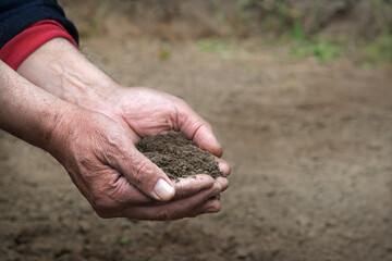 Man's hands holding a handful of earth