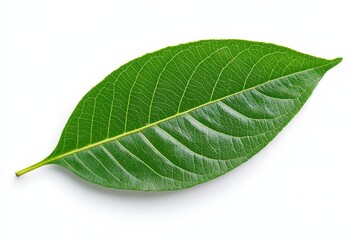 Obraz premium Close-up of a flowering strawberry plant. Beautiful simple AI generated image