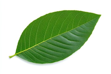 Obraz premium Strawberry flower with green leaves on an organic strawberry plant. Close-up. Beautiful simple AI generated image