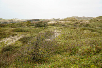 Naturally protected dune landscape on the Dutch North Sea coast.