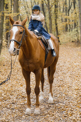 Young girl rides a horse in the forest.