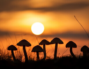 Naklejka premium Silhouette of mushrooms against a sunset, symbolizing nature’s mystery