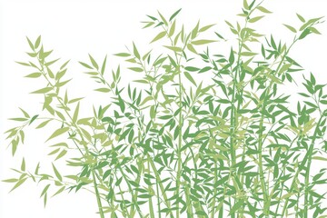 Naklejka premium Lush Green Bamboo Leaves Silhouetted Against a Soft White Background, Perfect for Nature Themes and Minimalist Design Projects