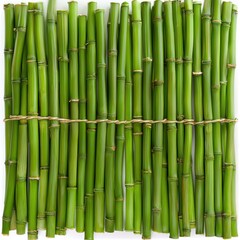 Fototapeta premium Fresh Green Bamboo Sticks Tied Together in a Natural Arrangement Perfect for Decoration, Crafts, and Sustainable Living Inspiration