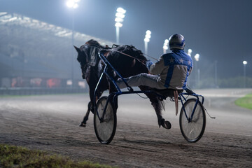 Racing horses trots and rider on a track of stadium. Competitions for trotting horse racing. Horses compete in harness racing. Horse runing at the track with rider.
