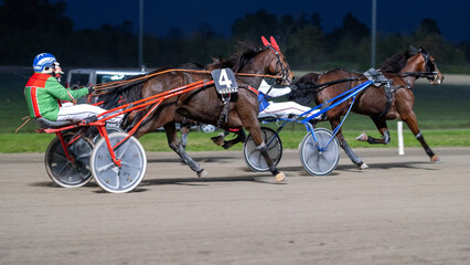 Racing horses trots and rider on a track of stadium. Competitions for trotting horse racing. Horses compete in harness racing. Horse runing at the track with rider.
