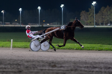 Racing horses trots and rider on a track of stadium. Competitions for trotting horse racing. Horses compete in harness racing. Horse runing at the track with rider. 