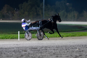 Racing horses trots and rider on a track of stadium. Competitions for trotting horse racing. Horses compete in harness racing. Horse runing at the track with rider.

