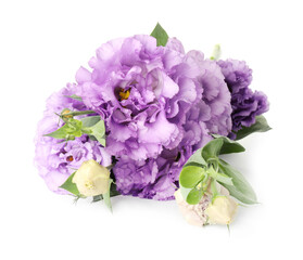 Beautiful violet eustoma flowers with green leaves isolated on white