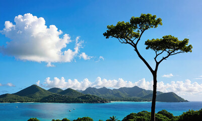 A lone tree stands tall against a backdrop of blue skies and green mountains on a tropical island