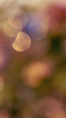 fond transparent pour usage graphique, avec billes de bokeh de lumières et couleur diverses...