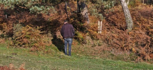 walking in the woods