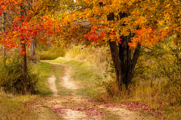 Hiking trail within Pike Lake Unit, Kettle Moraine State Forest, Hartford, Wisconsin as it winds...