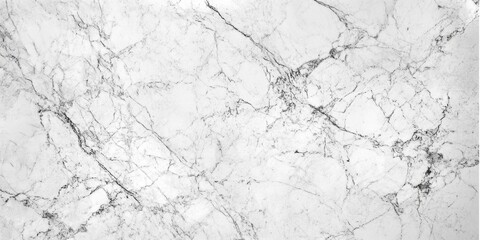 Pristine Marble Texture with Intricate Grey Veining for Interiors