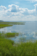 Widok na Jezioro Śniardwy, Największe Jezioro w Polsce | Scenic View of Śniardwy Lake, Poland's Largest Lake