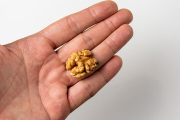 walnut in a hand