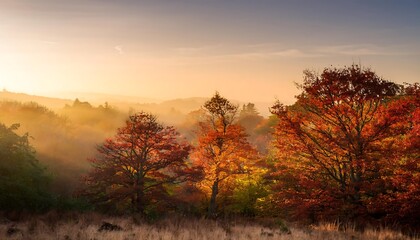 Fototapeta premium A secluded woodland at dawn features trees in warm hues of red and gold against an autumnal_1(519)