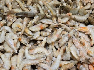 frozen shrimp