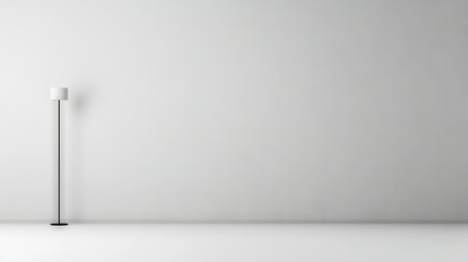   Black-and-white image of a pole in a white-walled room with a white wall behind it