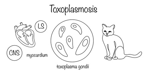Toxoplasmosis
