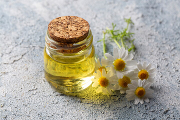 Essential oil in glass bottle with fresh chamomile flowers, beauty treatment. Daisy oil.