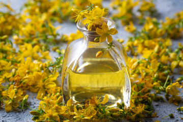 Preparation of St. John's wort oil from fresh blooming Hypericum perforatum plant (Turkish name; sari kantaron yagi)