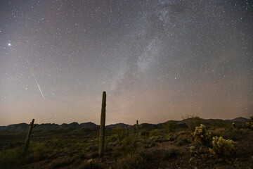 Desert Night