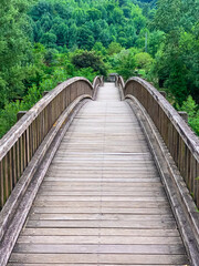 wooden bridge in a jungle