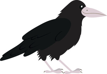 cartoon childish vector illustration of raven isolated on white background