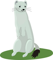 cartoon vector illustration of stoat in white winter fur isolated on white background