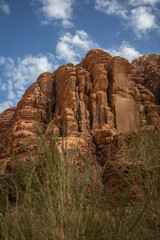 Below View of Sandstone Rock Formation with Green Plant Foreground in Wadi Rum. Vertical Stony Cliff in Southern Jordan.
