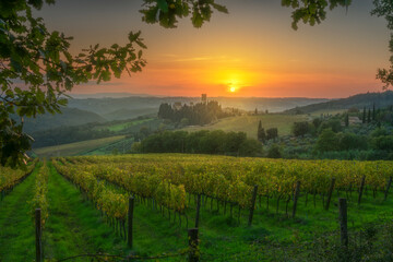 Naklejka premium Vineyards at sunset and the Abbey of Badia a Passignano in the Chianti area. Tuscany, Italy