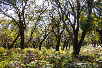 Long Point Circuit Walk in Australia