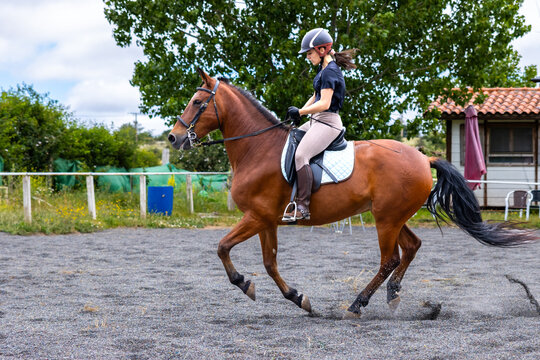 Woman riding a brown horse at a canter in an outdoor arena
