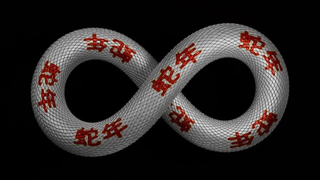Abstract 3D animation of the mathematical infinity sign in the form of a silver dragon body. A snake with Chinese characters. The text is the Year of the Snake, symbolizing the slow passage of time.