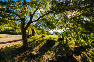 Nakasendo Trail Landscape in Japan