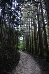 Obraz premium Nakasendo Trail Landscape in Japan