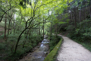 Fototapeta premium Nakasendo Trail Landscape in Japan
