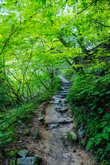 Nakasendo Trail Landscape in Japan