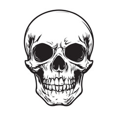 Fototapeta premium Skull In cartoon, hand-drawn flat style. image for social media, websites and UI. Isolated 2D vector design in logo, icon, sketch style, simple line vector, single color. AI Generative Art.