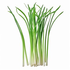 Fresh Herbs and Greens